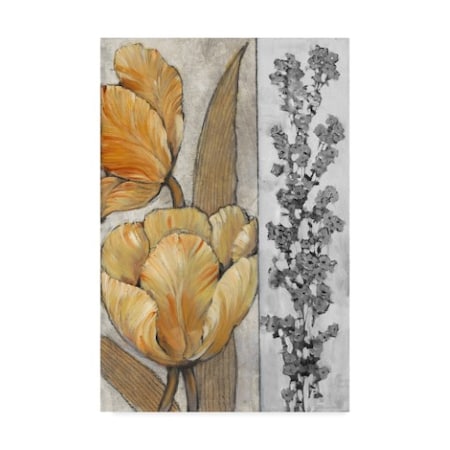 Tim Otoole 'Ochre & Grey Tulips Iii' Canvas Art,16x24